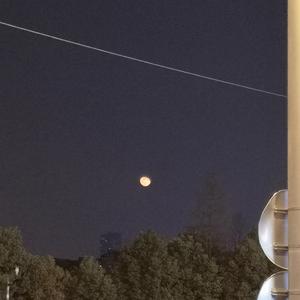 国内精品伊人久久久AV高清影
